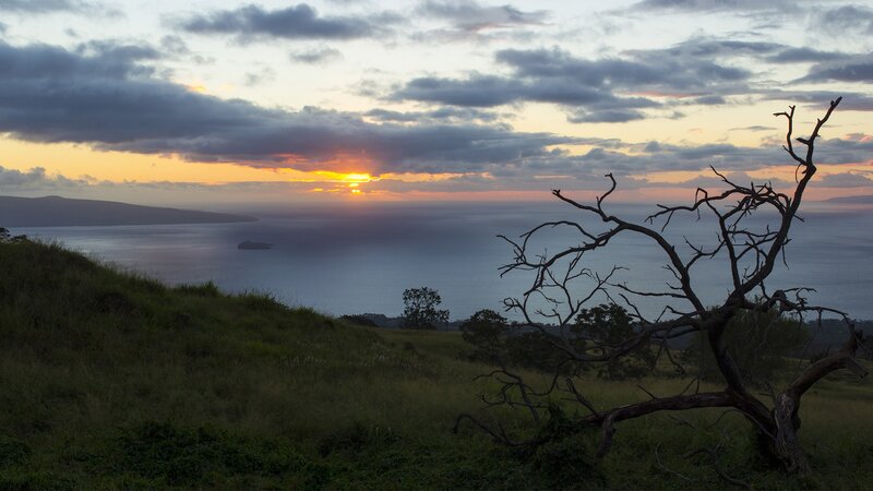 Sunset over Ocean — Orange, Serene, Photograph, Tree, Hill