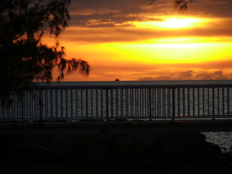 Sunset over Ocean — Orange, Serene, Photograph, Tree