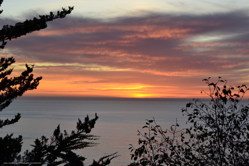 Sunset over Ocean — Orange, Serene, Photograph, Trees, Clouds