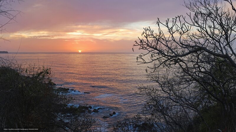 Sunset over Ocean — Orange, Serene, Photograph, Trees, Sky