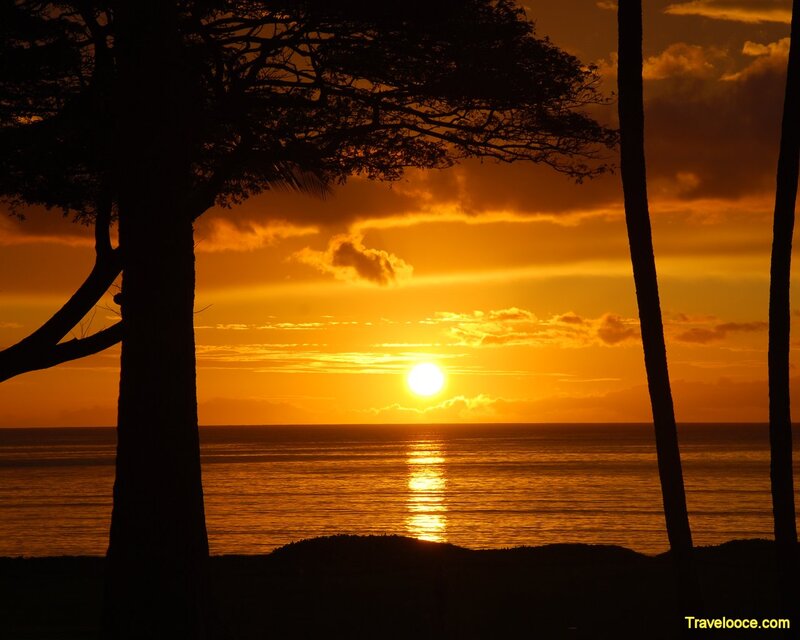 Sunset over Ocean — Orange, Serene, Photograph, Trees