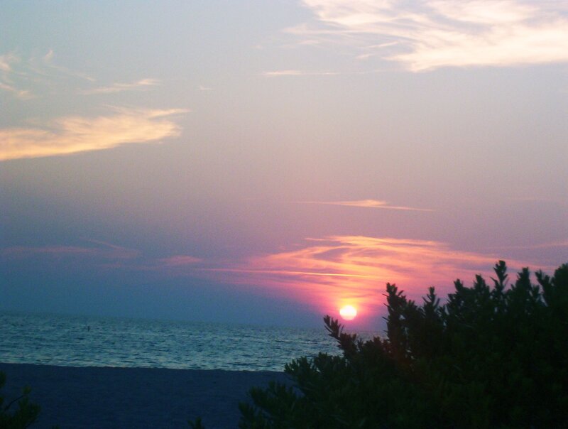 Sunset over Ocean — Pink, Serene, Photograph, Sky, Trees