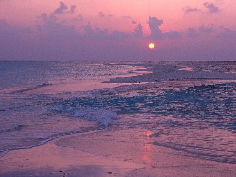 Sunset over Ocean — Pink, Serene, Photograph, Sun, Clouds, Waves, Purple, Blue