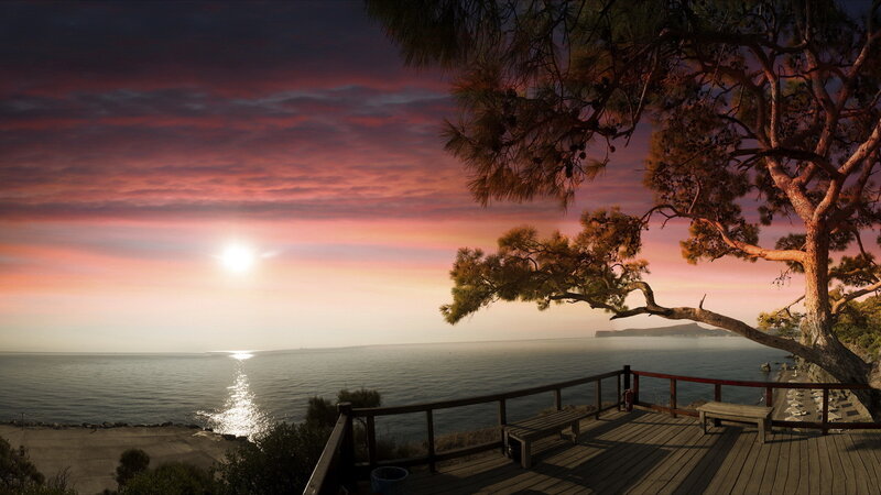 Sunset over Ocean — Pink, Serene, Photograph, Tree