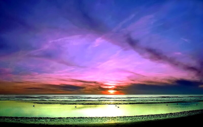 Sunset over Ocean — Purple, Dramatic, Photograph, Birds