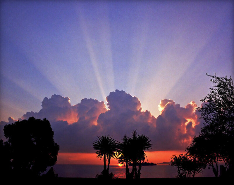 Sunset over Ocean — Purple, Dramatic, Photograph, Clouds, Trees