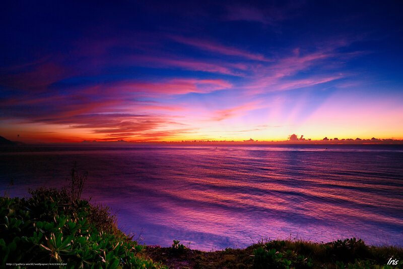 Sunset over Ocean — Purple, Dramatic, Photograph, Sky, Sea, Vegetation