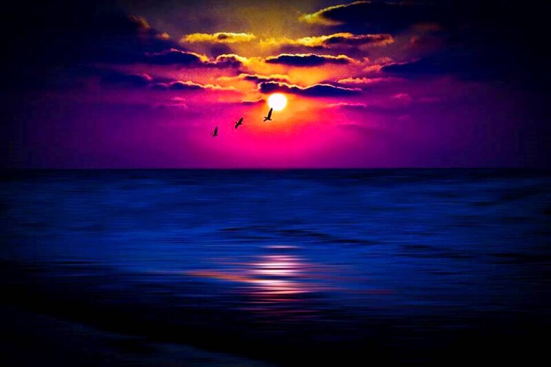 Sunset over Ocean — Purple, Dramatic, Photograph, Sun, Birds