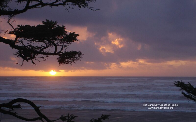 Sunset over Ocean — Purple, Dramatic, Photograph, Tree Branches