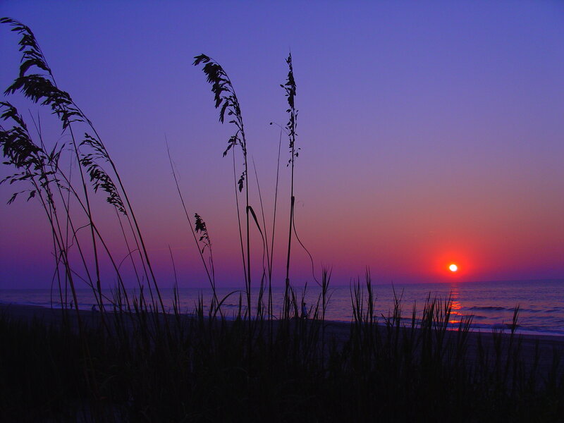 Sunset over Ocean — Purple, Serene, Photograph, Grass, Beach