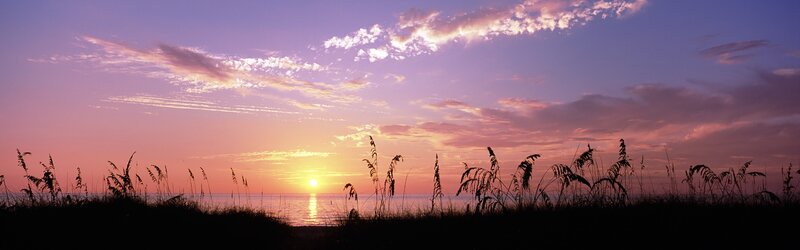 Sunset over Ocean — Purple, Serene, Photograph, Grass, Sky