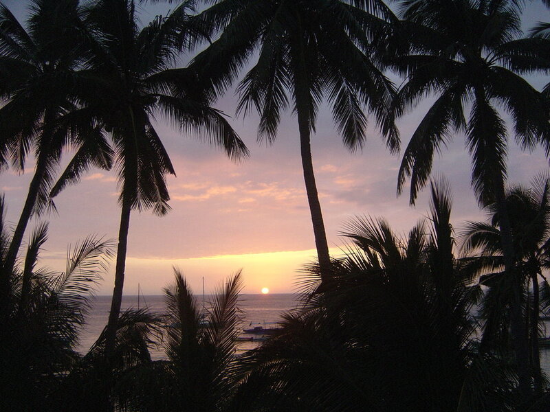 Sunset over Ocean — Purple, Serene, Photograph, Palm Trees, Boats