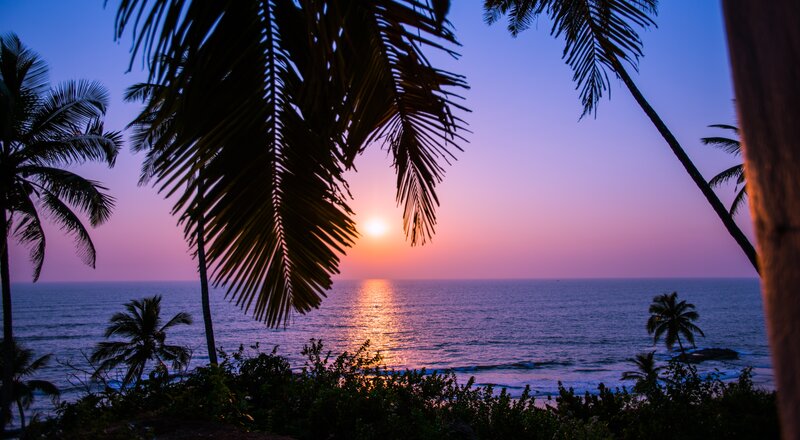 Sunset over Ocean — Purple, Serene, Photograph, Palm Trees