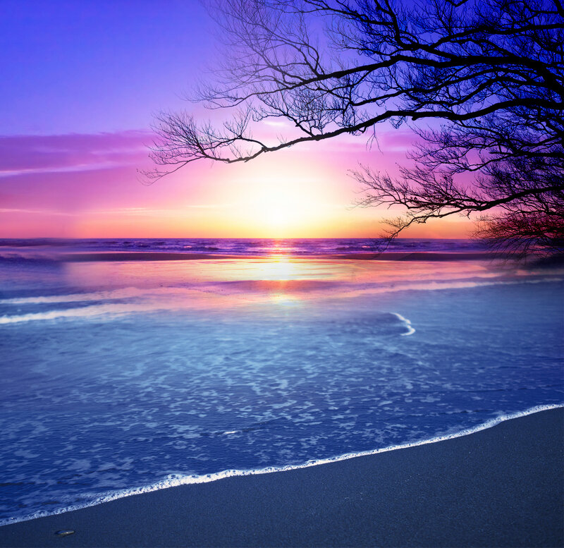 Sunset over Ocean — Purple, Serene, Photograph, Tree Branches