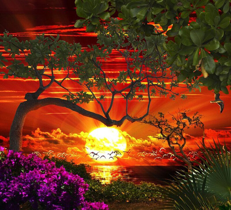 Sunset over Ocean — Red, Dramatic, Digital Art, Tree