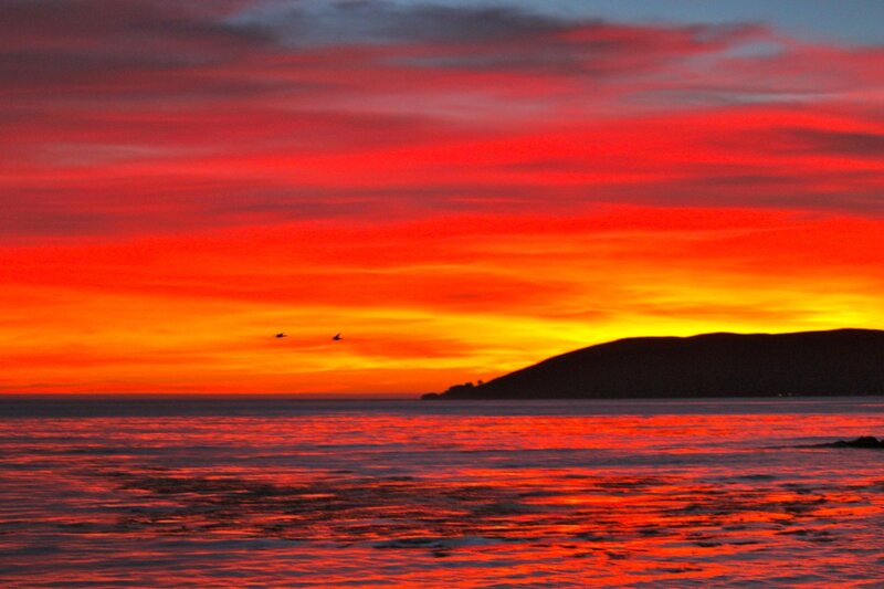 Sunset over Ocean — Red, Dramatic, Photograph, Birds, Island