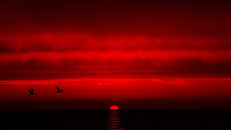 Sunset over Ocean — Red, Dramatic, Photograph, Birds, Sun