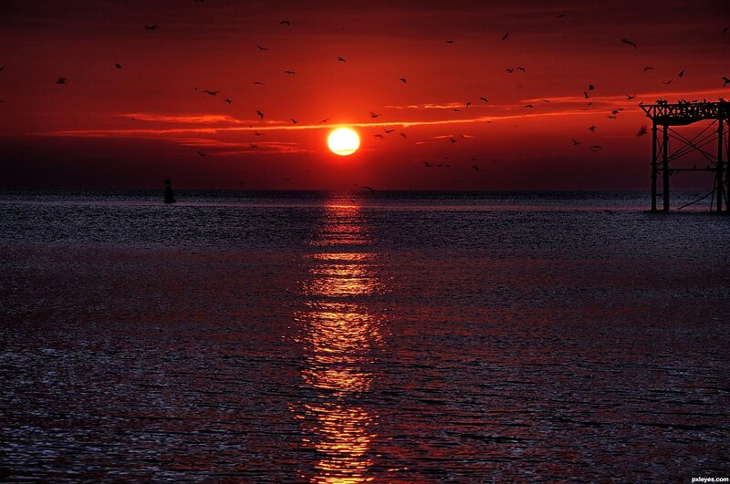 Sunset over Ocean — Red, Dramatic, Photograph, Birds