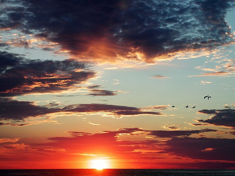 Sunset over Ocean — Red, Dramatic, Photograph, Clouds, Birds