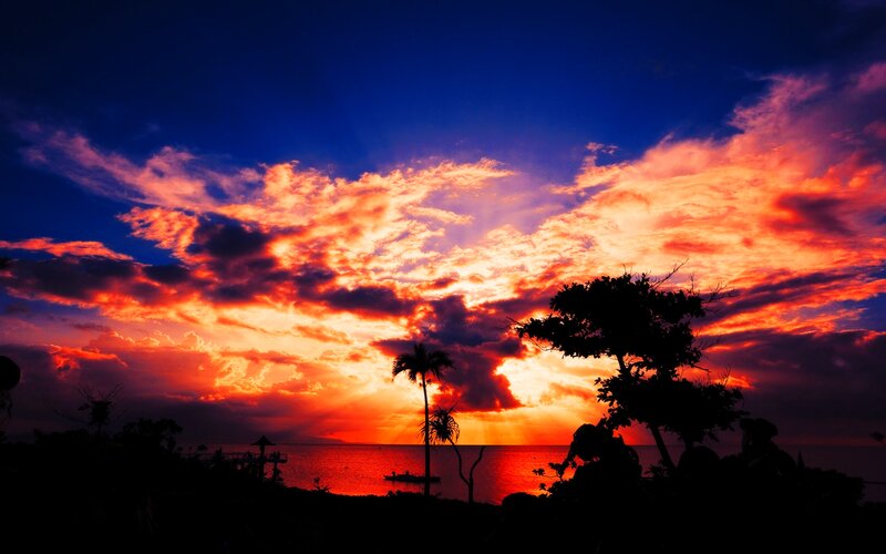 Sunset over Ocean — Red, Dramatic, Photograph, Clouds, Palm Tree