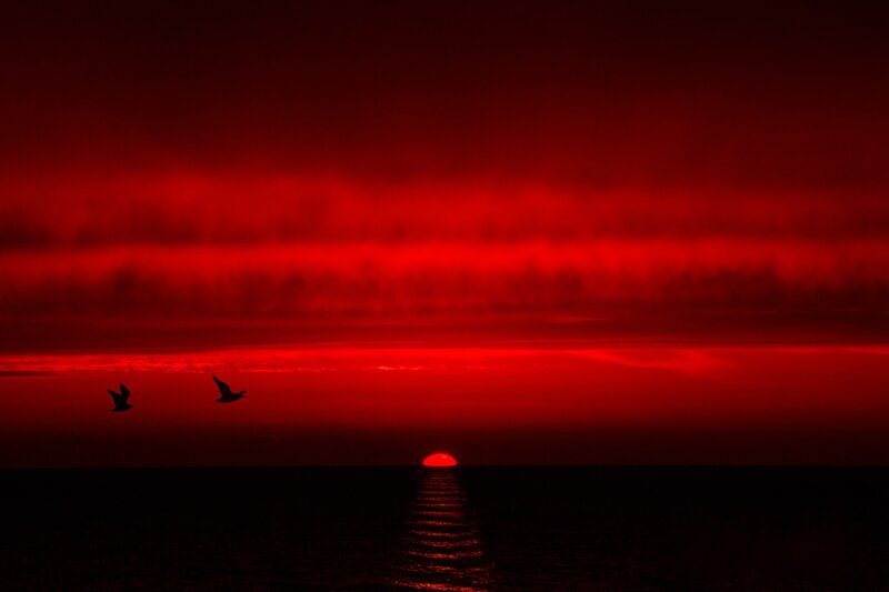 Sunset over Ocean — Red, Dramatic, Photograph, Sun, Birds, Sea
