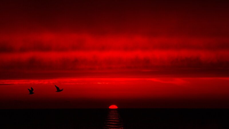 Sunset over Ocean — Red, Dramatic, Photograph, Sun, Birds