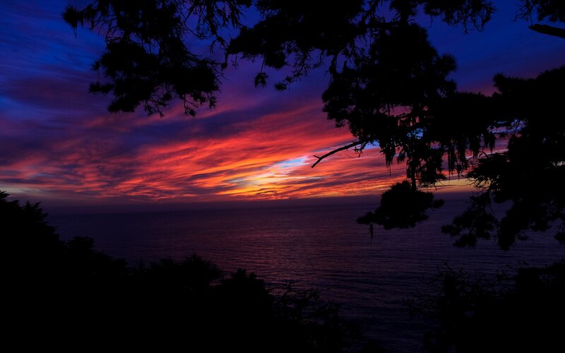 Sunset over Ocean — Red, Dramatic, Photograph, Trees