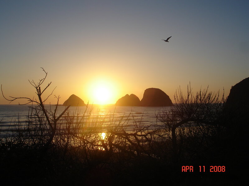 Sunset over Ocean Rocks — Yellow, Serene