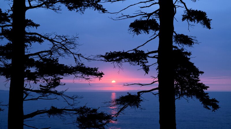 Sunset over Ocean — Trees