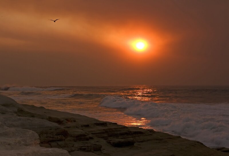 Sunset over Ocean Waves — Orange, Dramatic, Photograph, Bird