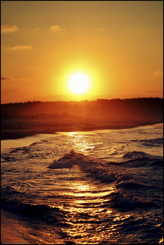 Sunset over Ocean Waves — Orange, Dramatic, Photograph, Sun, Beach, Trees