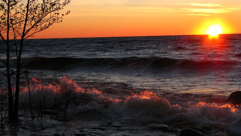 Sunset over Ocean Waves — Orange, Dramatic, Photograph, Tree, Sky