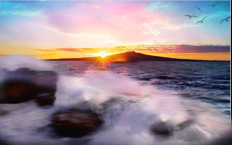 Sunset over ocean with birds