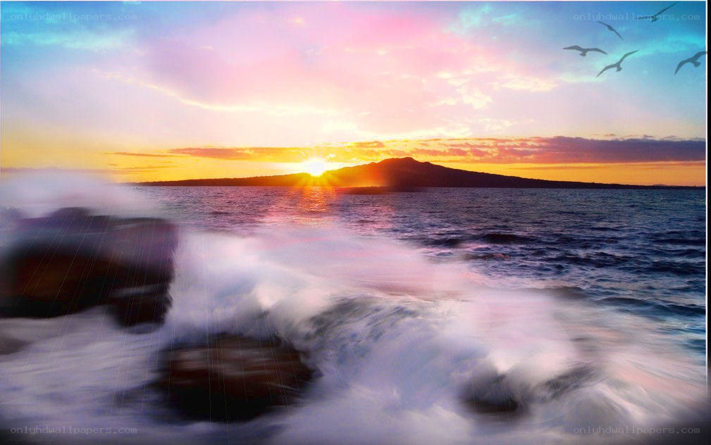 Sunset over ocean with birds