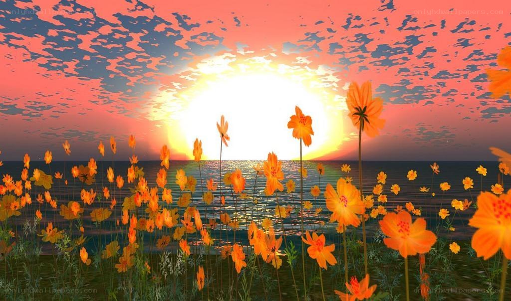 Sunset over ocean with flowers