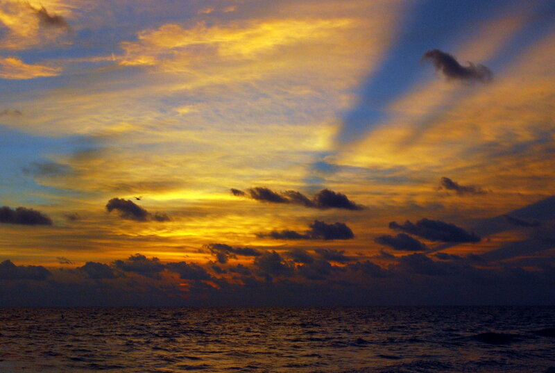 Sunset over Ocean — Yellow, Dramatic, Photograph, Clouds, Bird