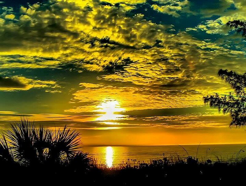 Sunset over Ocean — Yellow, Dramatic, Photograph, Clouds, Palm Tree