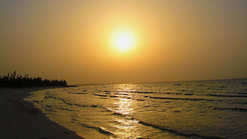 Sunset over Ocean — Yellow, Serene, Photograph, Beach, Trees