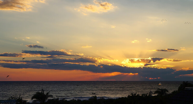 Sunset over Ocean — Yellow, Serene, Photograph, Clouds, Birds