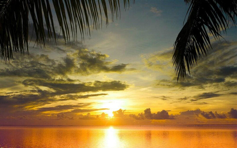 Sunset over Ocean — Yellow, Serene, Photograph, Palm Fronds, Clouds