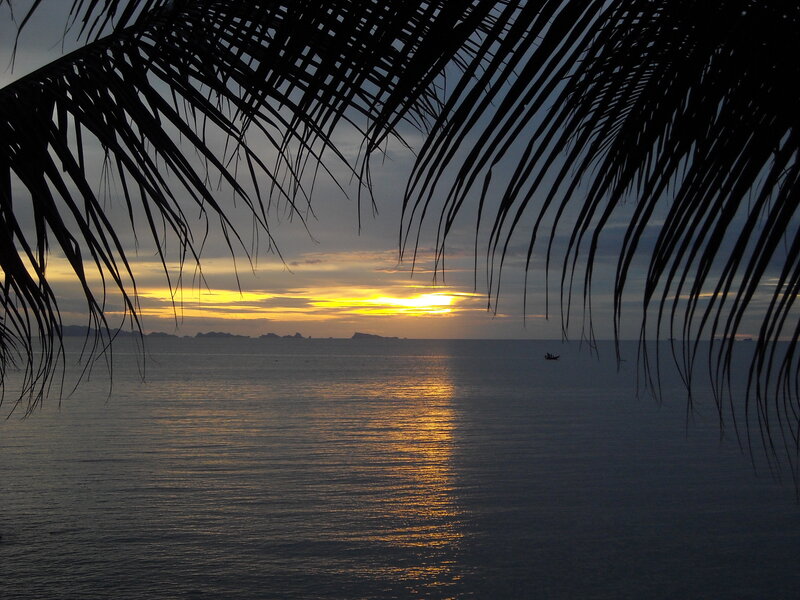 Sunset over Ocean — Yellow, Serene, Photograph, Palm Fronds
