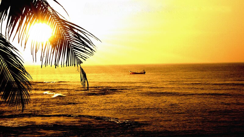 Sunset over Ocean — Yellow, Serene, Photograph, Palm Tree, Boat