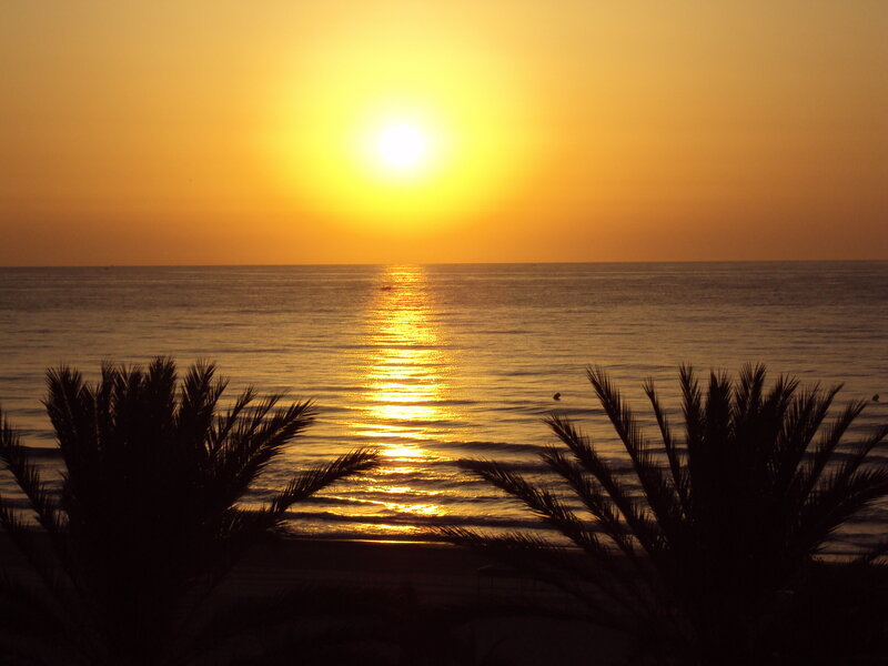 Sunset over Ocean — Yellow, Serene, Photograph, Palm Trees, Sun, Orange