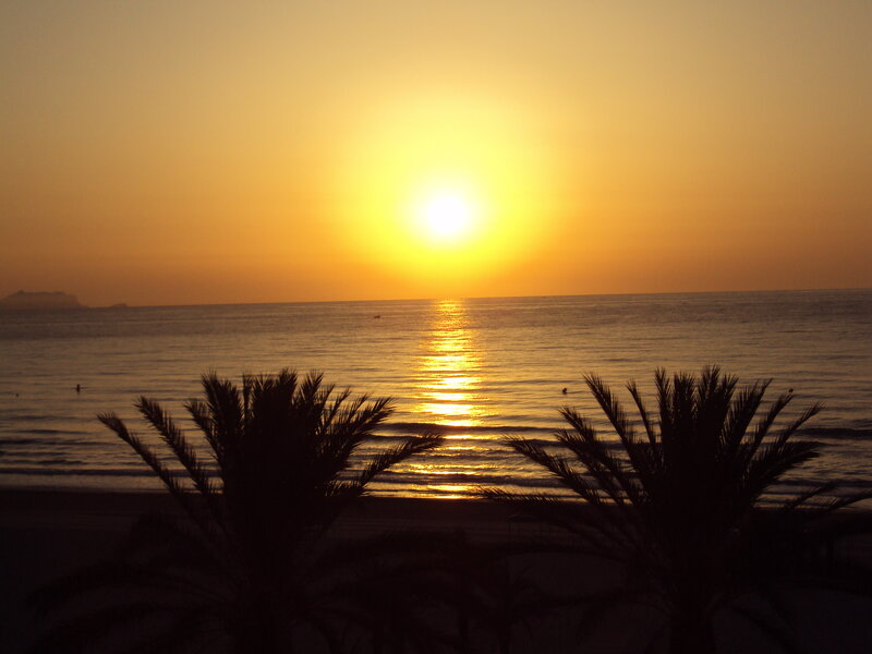 Sunset over Ocean — Yellow, Serene, Photograph, Palm Trees, Sun