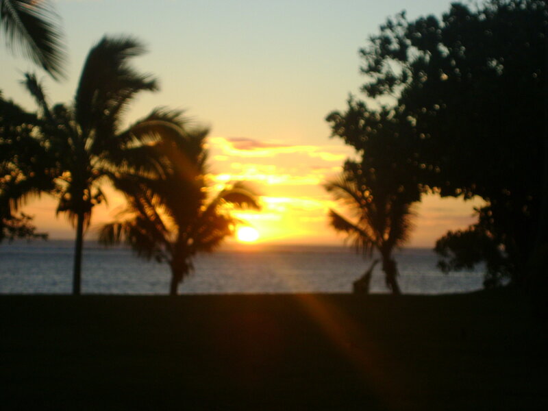 Sunset over Ocean — Yellow, Serene, Photograph, Palm Trees