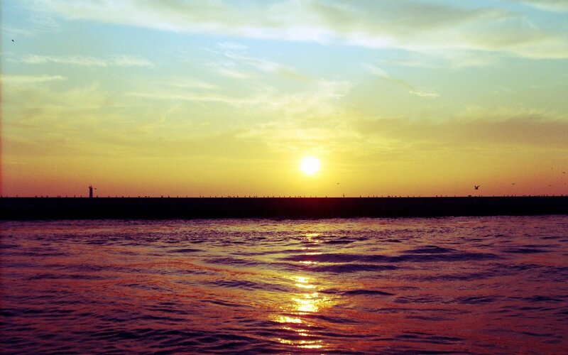 Sunset over Ocean — Yellow, Serene, Photograph, Sun, Sea, Birds