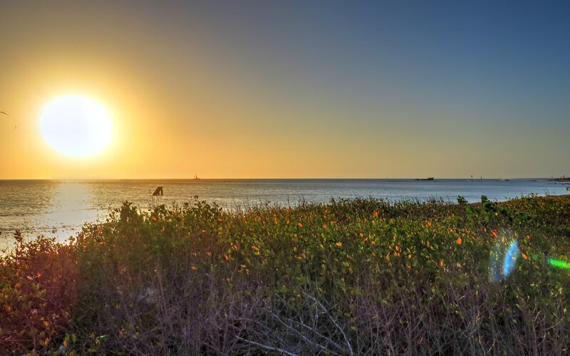 Sunset over Ocean — Yellow, Serene, Photograph, Sun, Sea, Vegetation