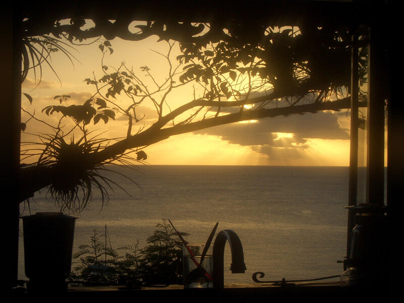 Sunset over Ocean — Yellow, Serene, Photograph, Tree Branch
