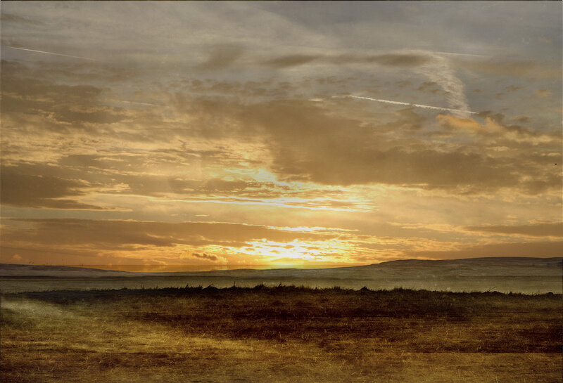 Sunset over Open Field — Gold