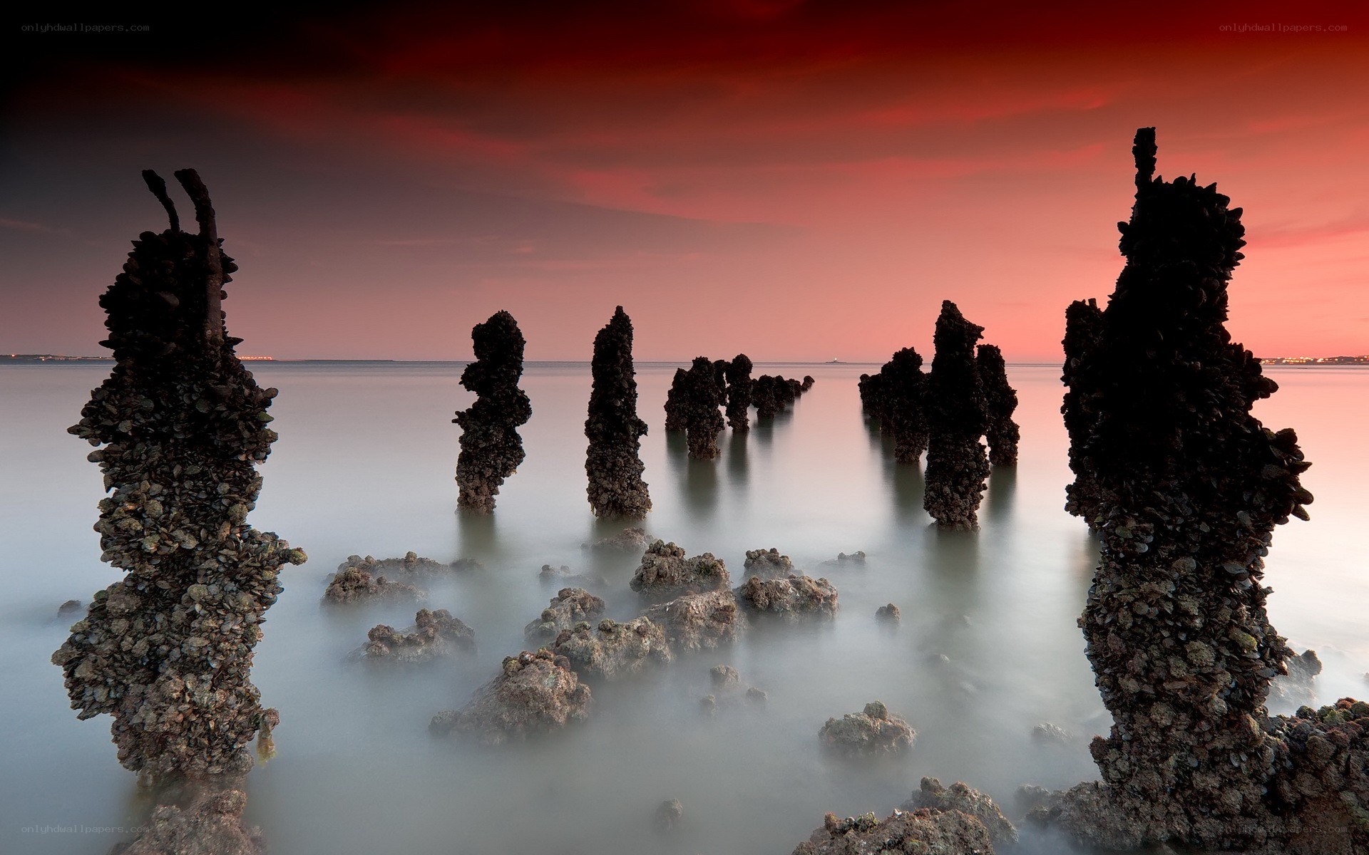 Sunset over oyster-covered pillars